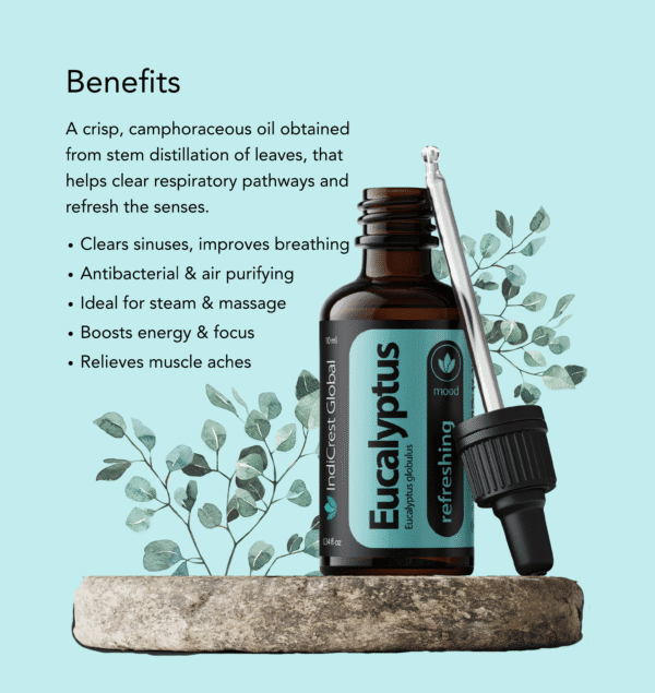 Eucalyptus Essential Oil - Image 2