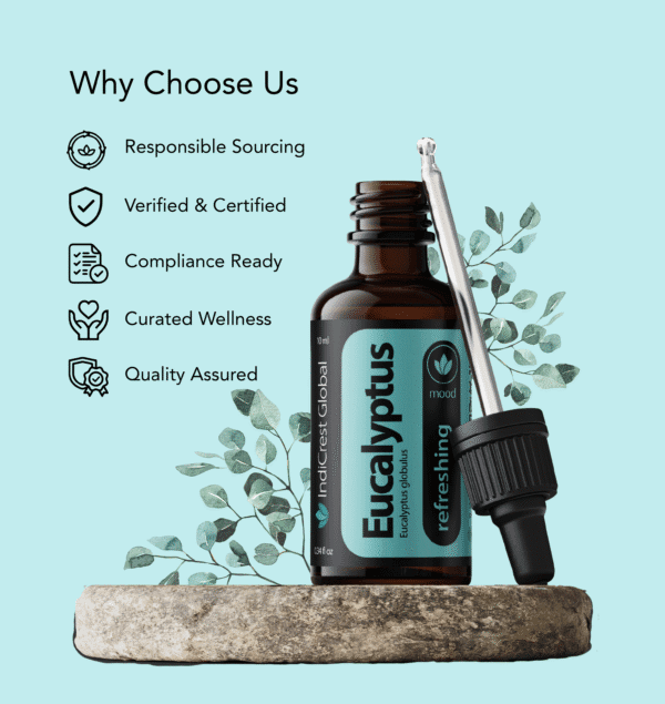 Eucalyptus Essential Oil - Image 3