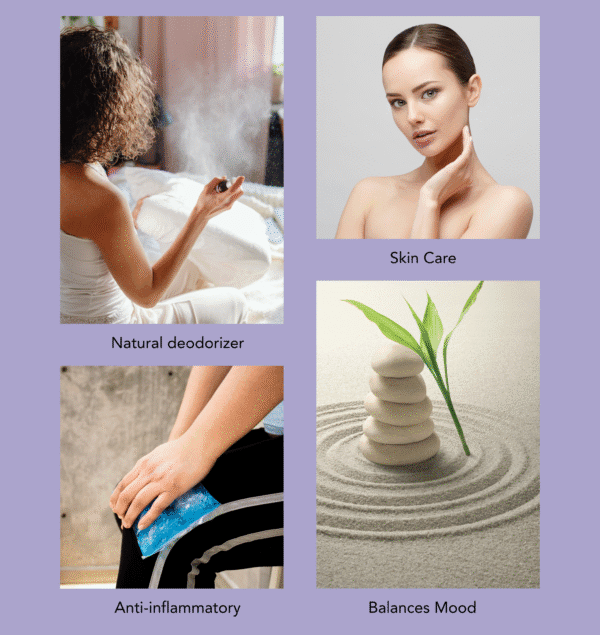 Geranium Essential Oil - Image 4