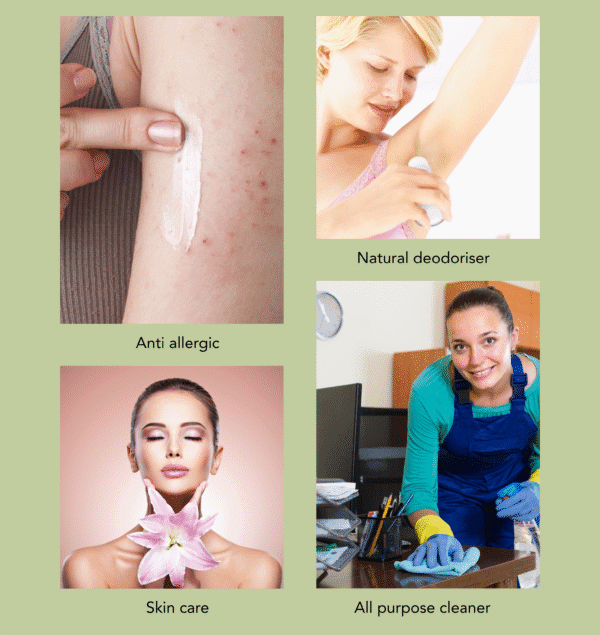 Tea Tree Essential Oil - Image 4
