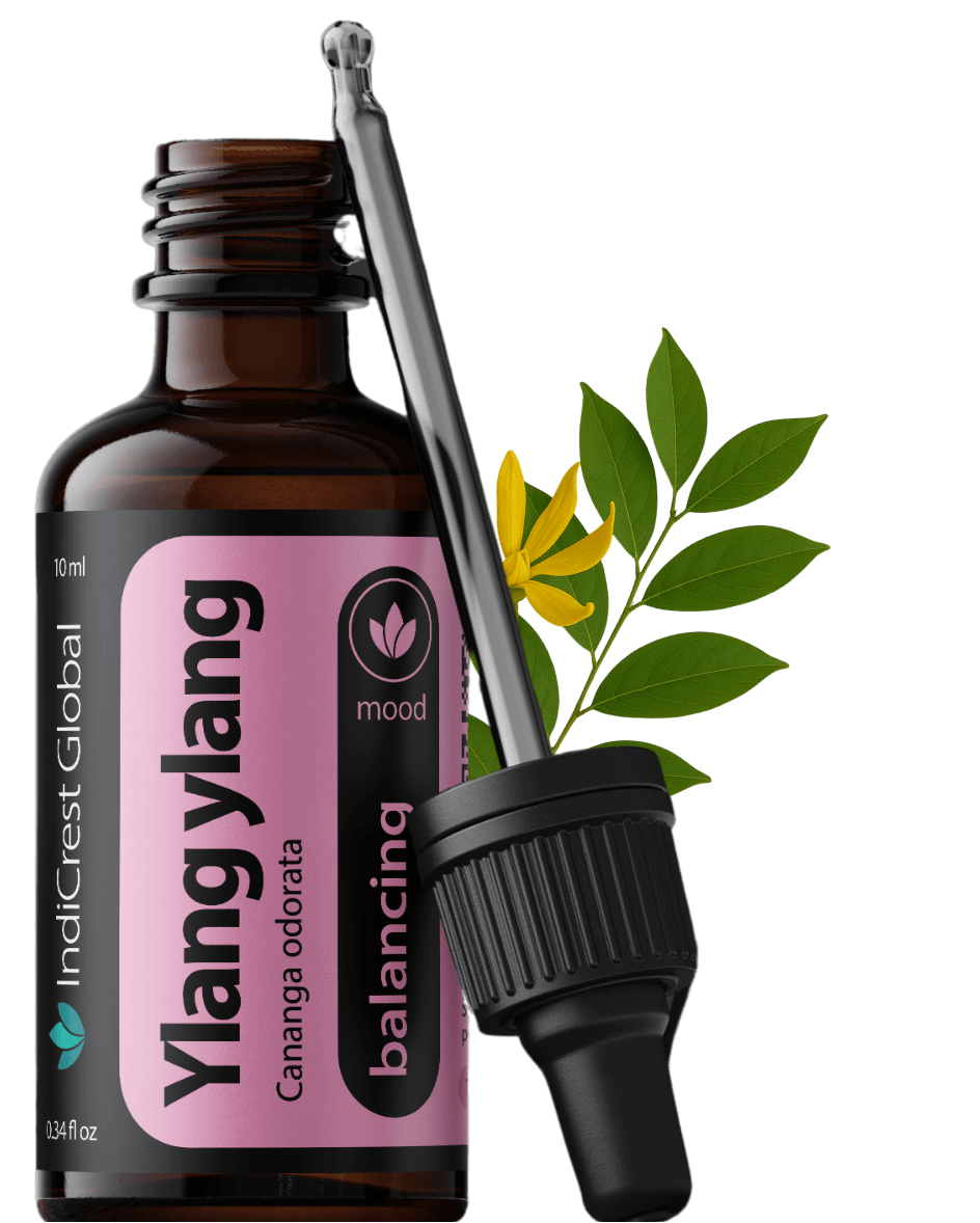 Product Images (1512 x 1599 px) (3)