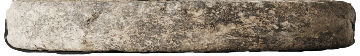 Product Images (1512 x 1599 px) (4)